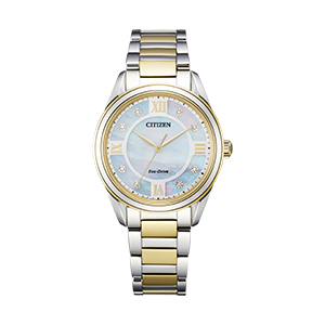 Watch Batteries Frederick Fisher Jewelers Flagstaff AZ